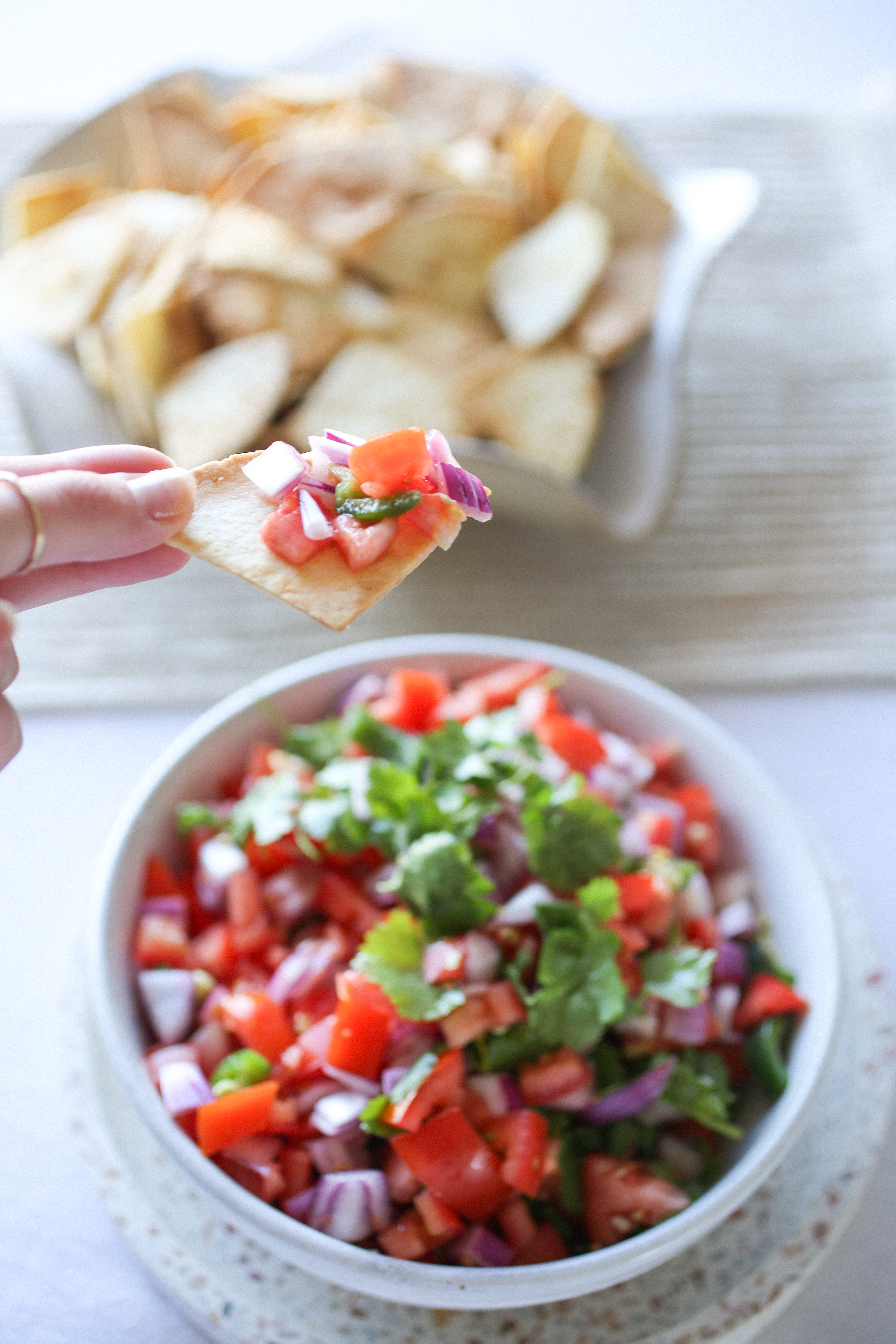 Homemade Salsa & Chips