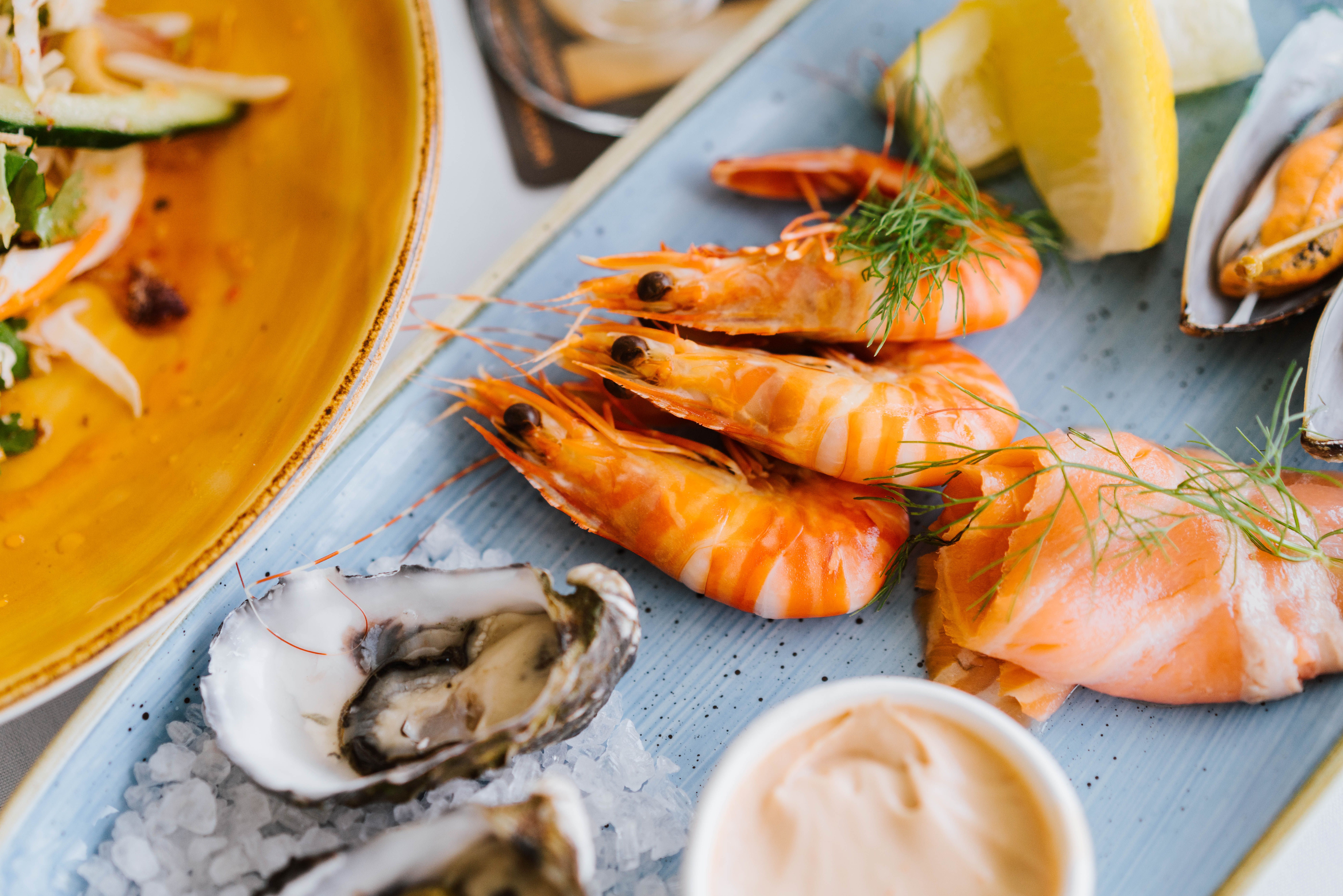 tastes of stud park event image 